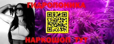 СК Чебоксары